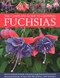 The Complete Guide to Growing Fuchsias (How to Cultivate Fuchsias with Practical Gardening Advice and an Illustrated Directory of 500 Varieties) by John Nicholass, 9780754835592