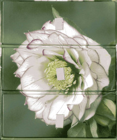 Flower Portraits' Three-Drawer Card Box with 60 Gift Cards and Envelopes (A Keepsake Box Of 60 Beautiful Gift Cards And Envelopes) by Peony Press, 9780857232786