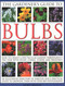 The Gardener's Guide to Bulbs by Kathy Brown, 9780857235237