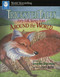 Trickster Tales (Forty Folk Stories from Around the World) by Josepha Sherman, David Boston, 9780874834505