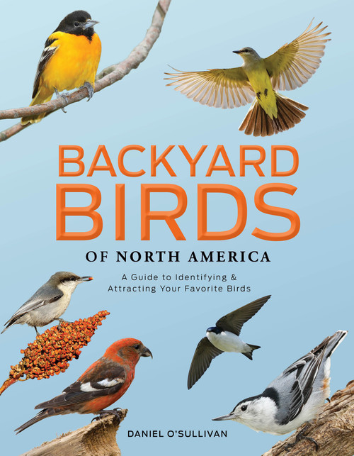 Backyard Birds of North America (A Guide to Identifying and Attracting Your Favorite Birds) by Daniel O'Sullivan, 9780764371080