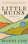 Little Ruins (Rebuilding a Life) by Manni Coe, 9781837263240