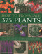 How to Propagate 375 Plants (An illustrated directory of flowers, trees, shrubs, climbers, water plants, vegetables and herbs, with 650 photographs) by Richard Rosenfeld, 9781780191850