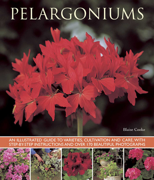 Pelargoniums (An Illustrated Guide to Varieties, Cultivation and Care, With Step-by-Step Instructions and Over 170 Beautiful Photographs) by Blaise Cooke, 9781780192734
