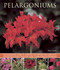 Pelargoniums (An Illustrated Guide to Varieties, Cultivation and Care, With Step-by-Step Instructions and Over 170 Beautiful Photographs) by Blaise Cooke, 9781780192734