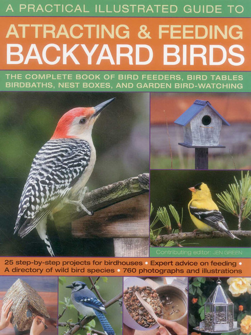 A Practical Illustrated Guide to Attracting and Feeding Backyard Birds by Jen Green, 9781780192802