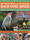 A Practical Illustrated Guide to Attracting and Feeding Backyard Birds by Jen Green, 9781780192802