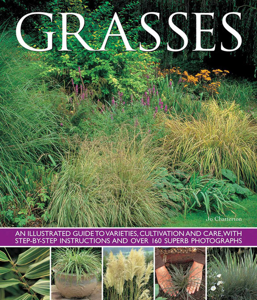 Grasses (An Illustrated Guide To Varieties, Cultivation And Care, With Step-By-Step Instructions And Over 160 Superb Photographs) by Jo Chatterton, 9781780193168