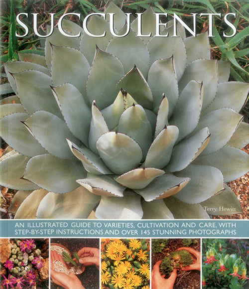 Succulents (An illustrated guide to varieties, cultivation and care, with step-by-step instructions and over 145 stunning photographs) by Terry Hewitt, 9781780193656