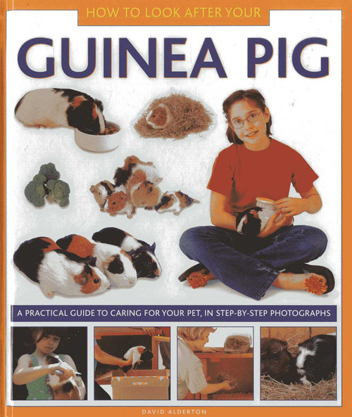 How To Look After Your Guinea Pig (A practical guide to caring for your pet, in step-by-step photographs) by David Alderton, 9781843227687