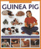 How To Look After Your Guinea Pig (A practical guide to caring for your pet, in step-by-step photographs) by David Alderton, 9781843227687