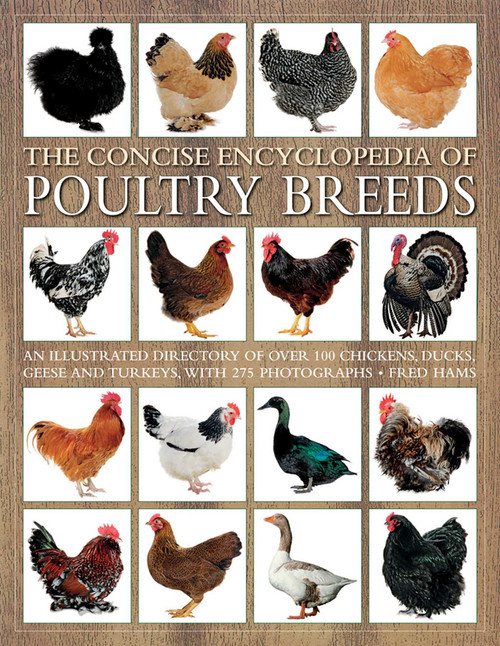 The Concise Encyclopedia of Poultry Breeds (An Illustrated Directory Of Over 100 Chickens, Ducks, Geese And Turkeys, With 275 Photographs) by Fred Hams, 9781844760589