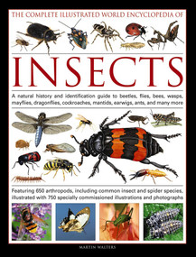 The Complete Illustrated World Encyclopedia of Insects by Martin Walters, 9781846815829
