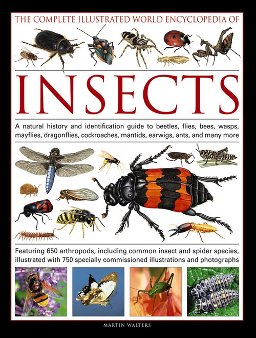 The Complete Illustrated World Encyclopedia of Insects by Martin Walters, 9781846815829