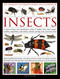 The Complete Illustrated World Encyclopedia of Insects by Martin Walters, 9781846815829