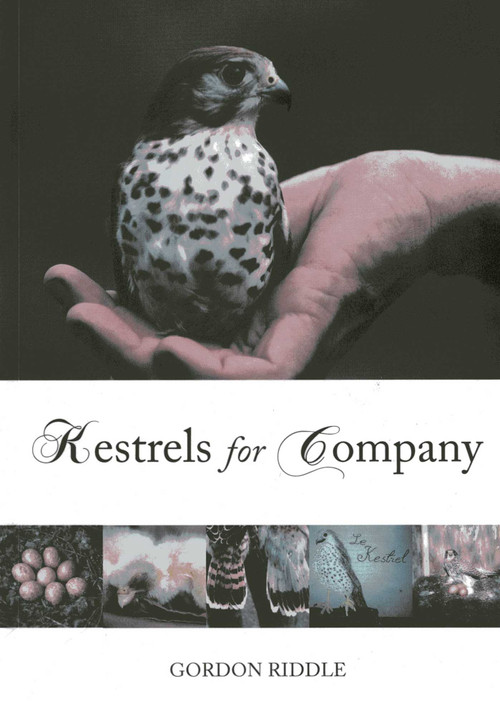 Kestrels for Company by Gordon Riddle, 9781849950299