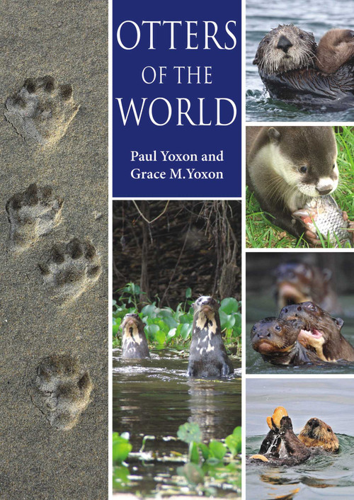 Otters of the World by Paul Yoxon, Grace M. Yoxon, 9781849951296