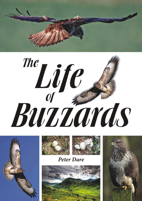The Life of Buzzards by Dr. Peter Dare, 9781849951302