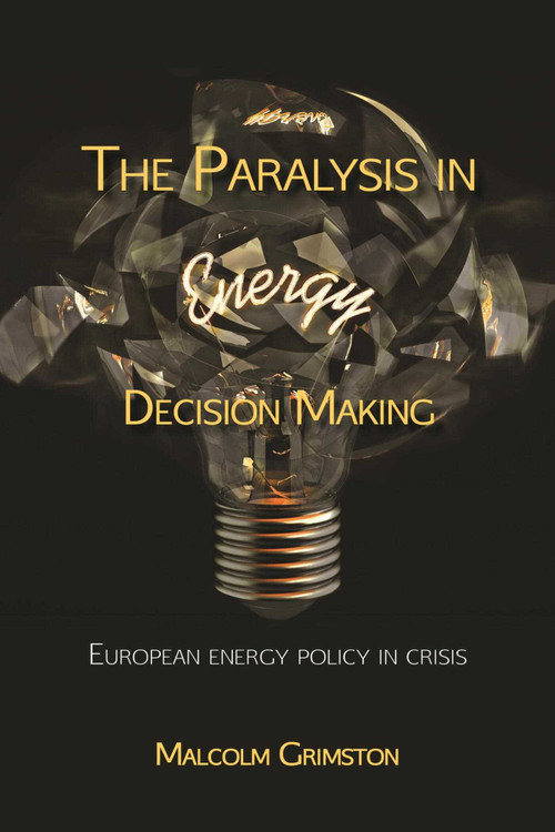 Paralysis in Energy Decision Making (Putting the energy back into energy?) by Malcolm Grimston, 9781849951678