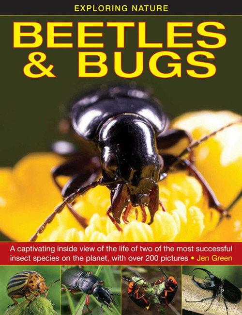 Exploring Nature: Beetles & Bugs by Jen Green, 9781861473660