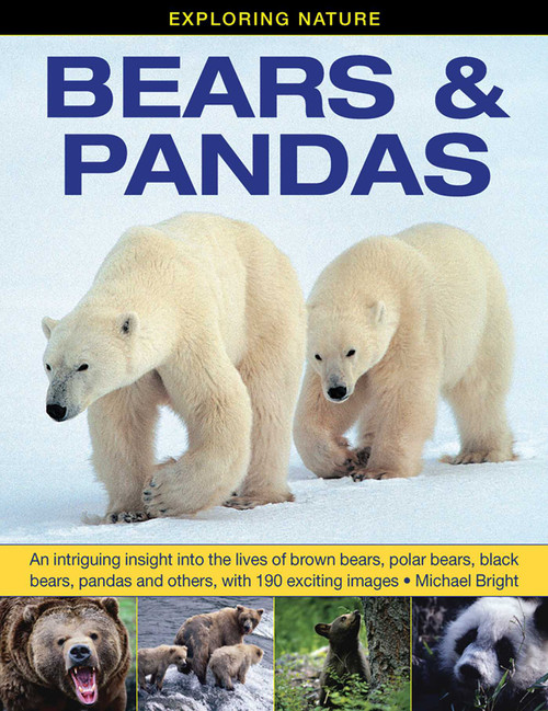 Exploring Nature: Bears & Pandas by Michael Bright, 9781861473899