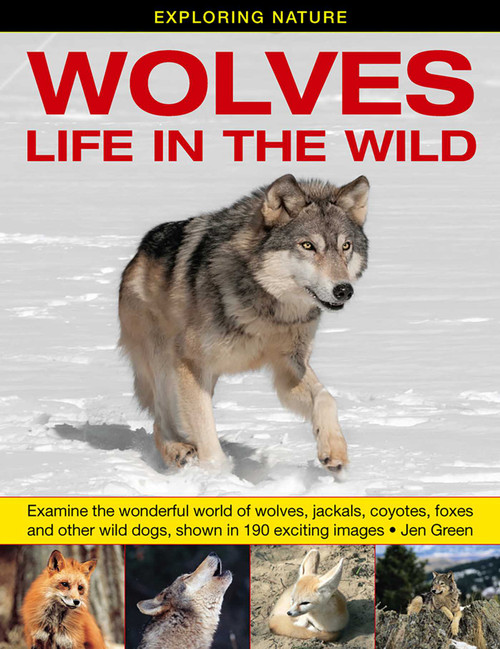 Exploring Nature: Wolves - Life In The Wild by Jen Green, 9781861473950
