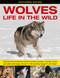 Exploring Nature: Wolves - Life In The Wild by Jen Green, 9781861473950