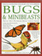 Illustrated Wildlife Encyclopedia: Bugs & Minibeasts (Beetles, Bugs, Butterflies, Moths, Insects, Spiders) by Barbara Taylor, Jen Green, John Farndon, 9781861474223