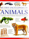 My First Encylopedia of Animals (A First Encyclopedia With Supersize Pictures) by Matt Bugler, 9781861478221
