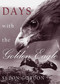 Days with the Golden Eagle by Seton Gordon, 9781870325356