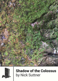 Shadow of the Colossus by Nick Suttner, Craig D. Adams, 9781940535104