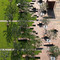 Martha Schwartz Partners (Landscape Art and Urbanism) by Martha Schwartz, Marc Treib, Markus Jatsch, Edith Katz, 9783869050119