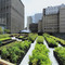 Greenwards (The New Delight in Urban Nature) by Volker Fischer, 9783936681925