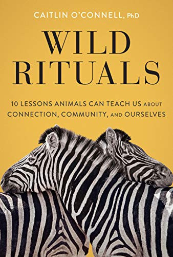 Wild Rituals (10 Lessons Animals Can Teach Us About Connection, Community, and Ourselves) by Caitlin O'Connell, 9781452184852