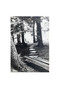 Someday We'll Build Cabins by Kerouac, Beckwith, Beckwith, Morgon, 9781644282915