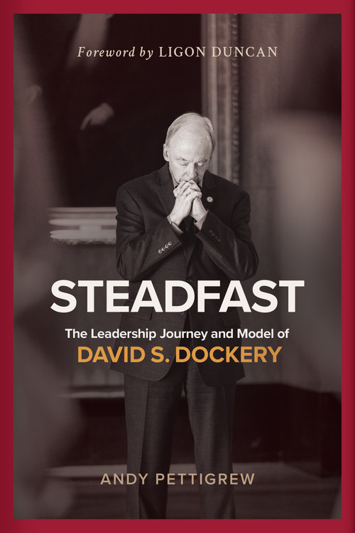 Steadfast (The Leadership Journey and Model of David S. Dockery) by Andy Pettigrew, 9798384500193