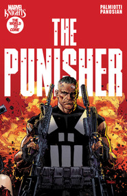 Marvel Knights: Punisher by Jimmy Palmiotti, Dan Panosian, Dan Panosian, 9781302914301