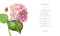 Plants for Pollinators (Create a Pollinator-Friendly Haven with More than 200 Flowering Plants) by DK, 9798217137633