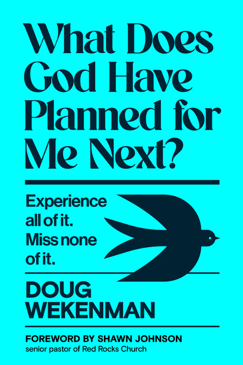 What Does God Have Planned for Me Next? (Experience all of it. Miss none of it.) by Doug Wekenman, Shawn Johnson, 9798217151943