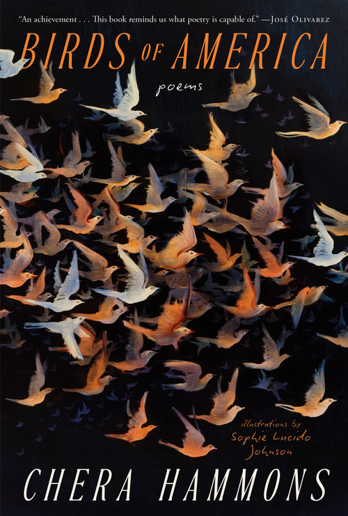 Birds of America (Poems) by Chera Hammons, Sophie Lucido Johnson, 9780593980033