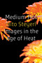 Medium Hot (Images in the Age of Heat) - 9781804298039 by Hito Steyerl, 9781804298039