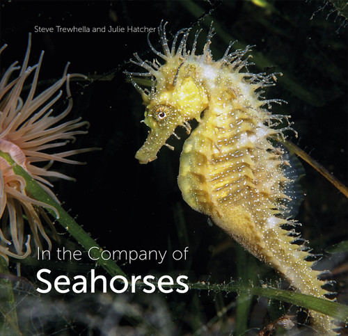 In the Company of Seahorses by Steve Trewhella, Julie Hatcher, 9780995567320