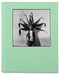 Las Pelilargas by Irina Werning, 9781805980162