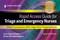 Rapid Access Guide for Triage and Emergency Nurses (Chief Complaints with High-Risk Presentations) by Lynn Sayre Visser, Anna Sivo Montejano, 9780826169754