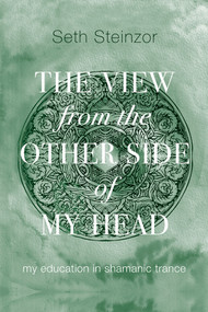 The View From the Other Side of My Head (My Education in Shamanic Trance) by Seth Steinzor, 9798991413404