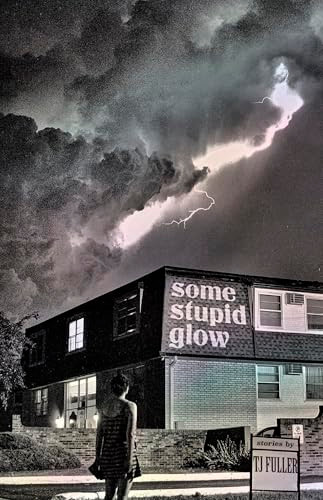 Some Stupid Glow (Stories) by TJ Fuller, 9781943888313