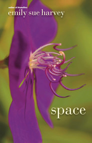 Space - 9781611880199 by Emily Sue Harvey, 9781611880199