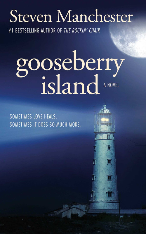 Gooseberry Island by Steven Manchester, 9781611881806