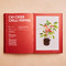 Chillies by Sophie Dupuis-Gaulier, 9781846016738
