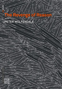The Revenge of Reason by Peter Wolfendale, Ray Brassier, 9781913029876